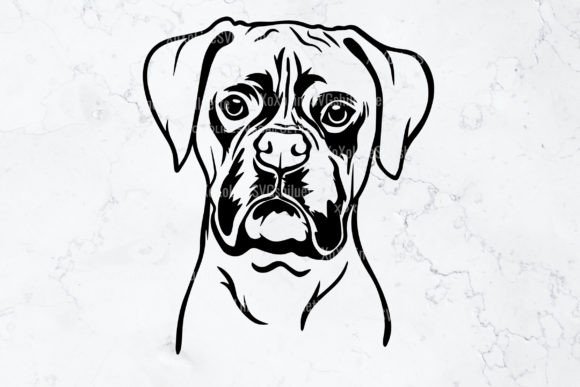Download Boxer SVG Silhouette Outline Clipart - Silhouette Collection