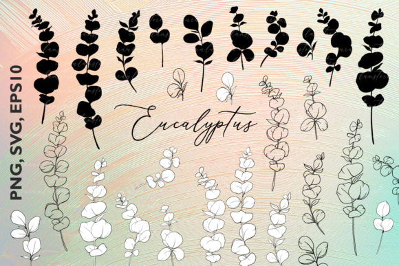 Download Eucalyptus SVG, Eucalyptus Silhouette - Premium Bundle
