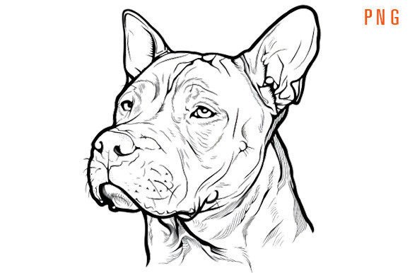 Download Pitbull Silhouette Outline Head - Silhouette Collection