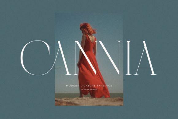 Download Cannia || Ligature Typeface - Typeface Collection